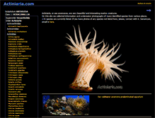 Tablet Screenshot of actiniaria.com